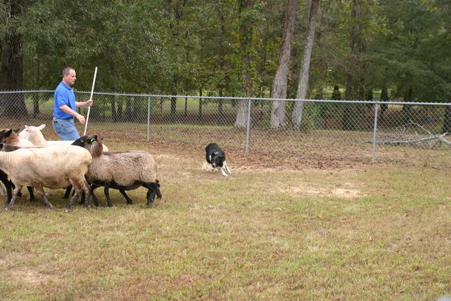 Click to see next picture