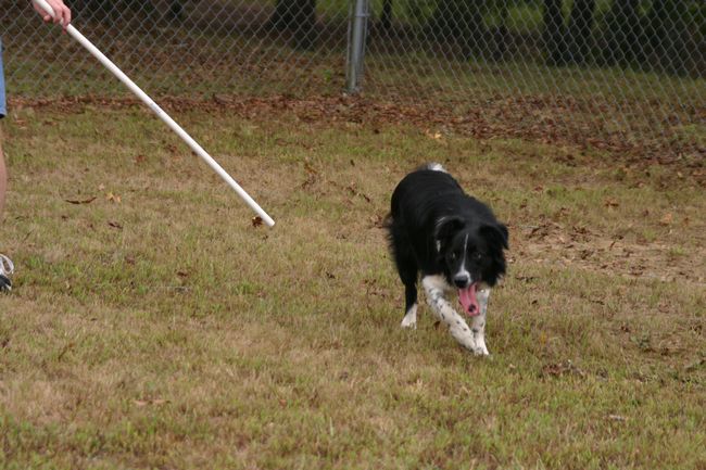 Click to see thumbs page