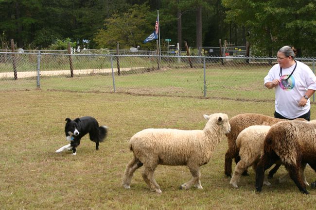 Click to see next picture