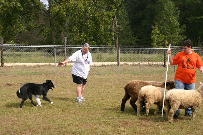 Click to see next picture