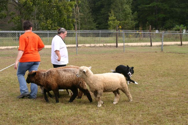 Click to see next picture