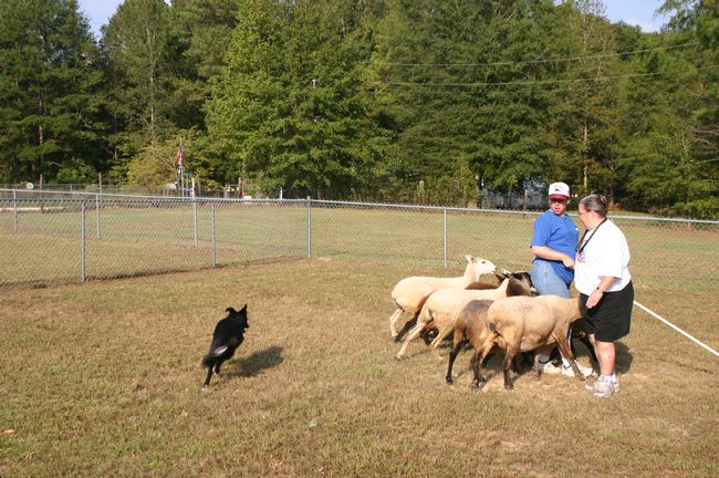 Click to see next picture