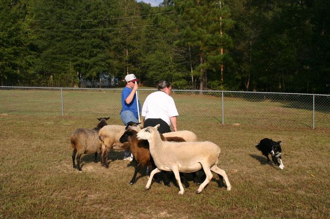 Click to see next picture