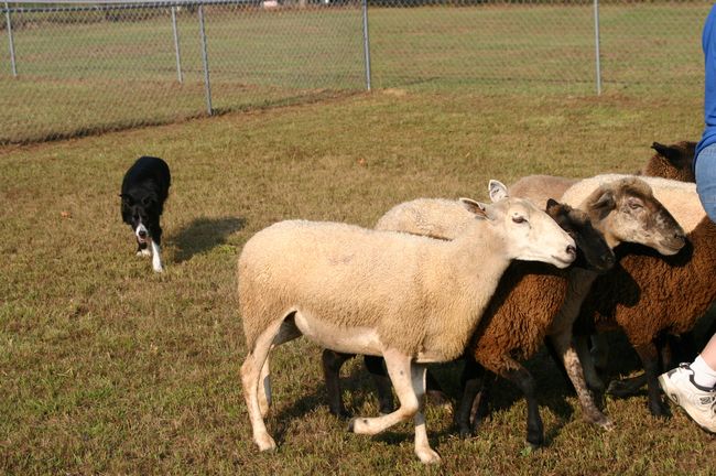 Click to see next picture