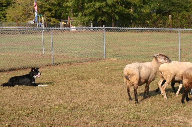 Click to see next picture