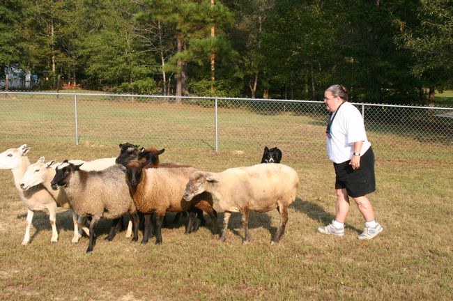 Click to see next picture