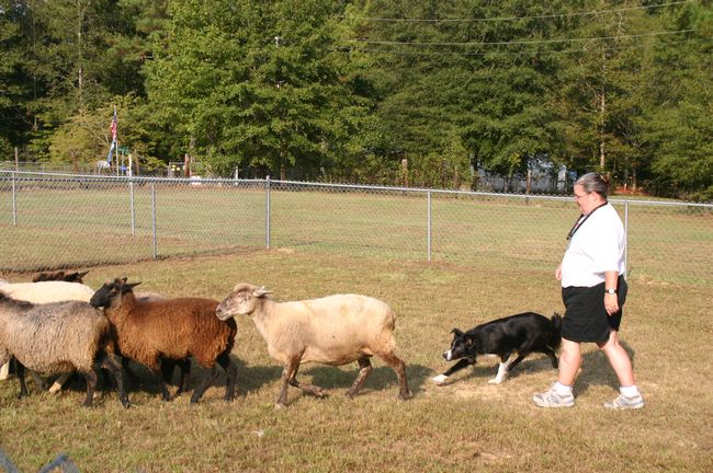 Click to see next picture