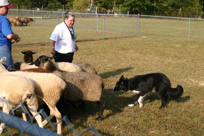 Click to see thumbs page