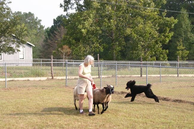 Click to see next picture