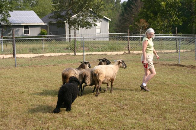 Click to see next picture