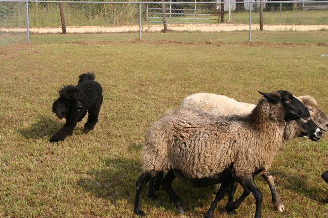 Click to see next picture