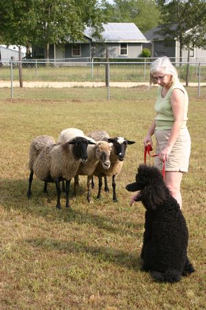 Click to see next picture