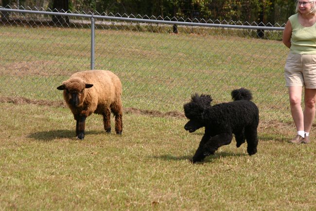 Click to see thumbs page