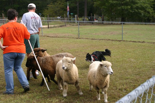 Click to see next picture