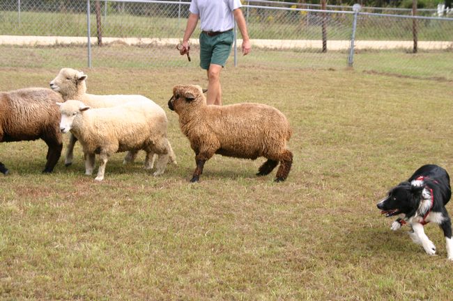 Click to see next picture