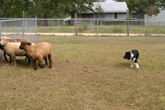 Click to see next picture