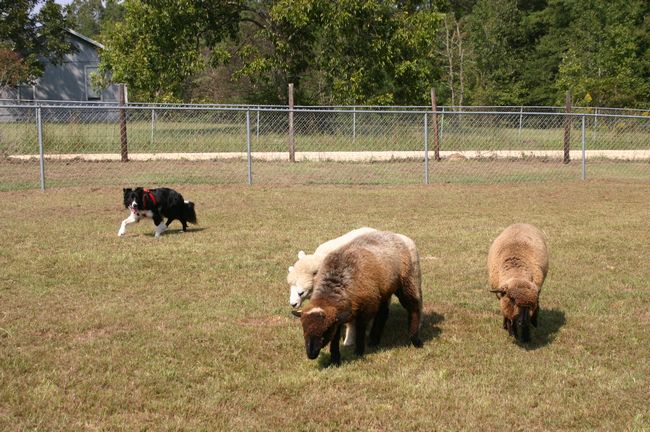 Click to see next picture