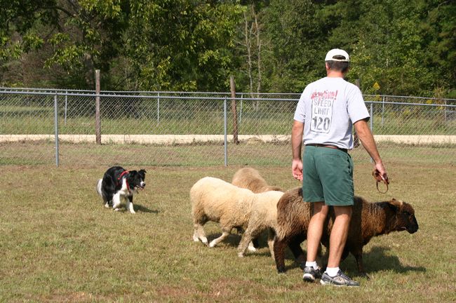 Click to see next picture