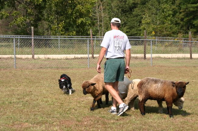 Click to see next picture