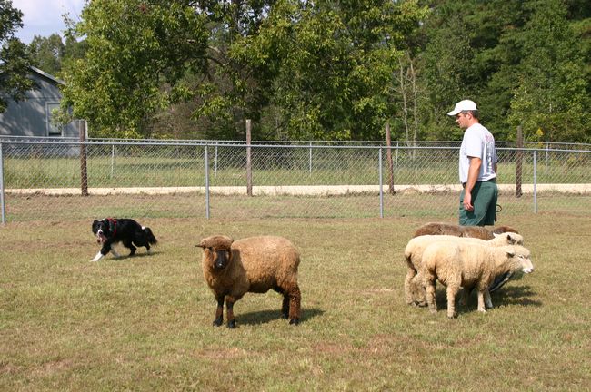 Click to see next picture