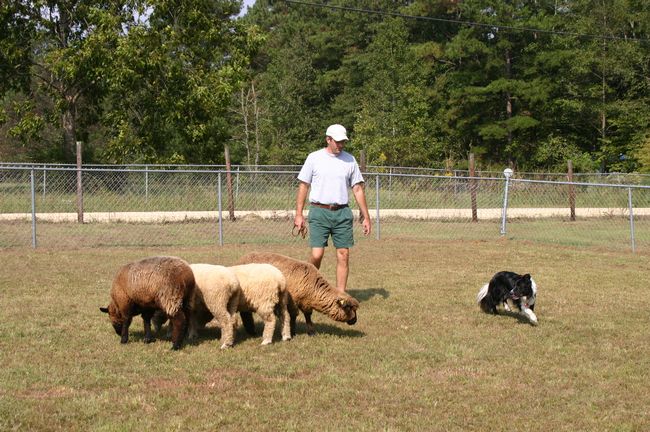 Click to see next picture