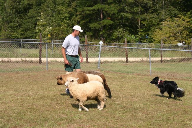 Click to see next picture