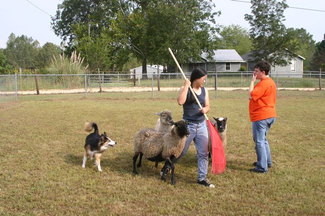 Click to see next picture