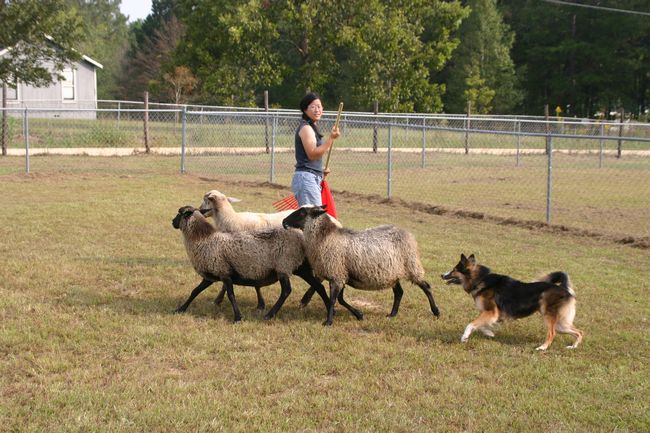 Click to see next picture