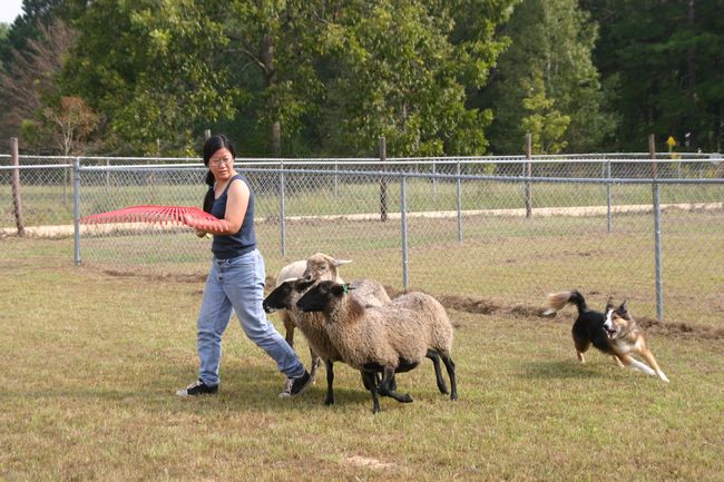 Click to see next picture