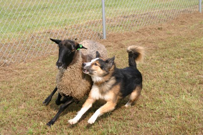 Click to see next picture