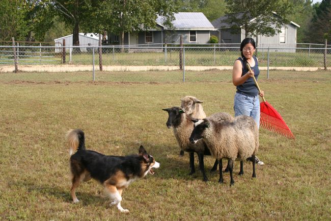 Click to see next picture