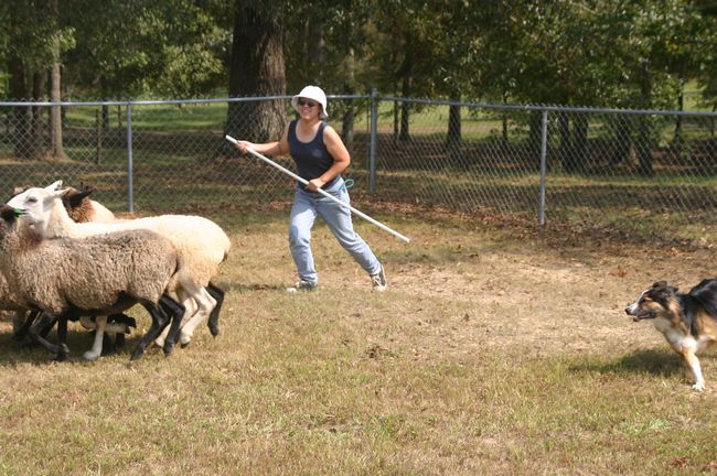 Click to see next picture