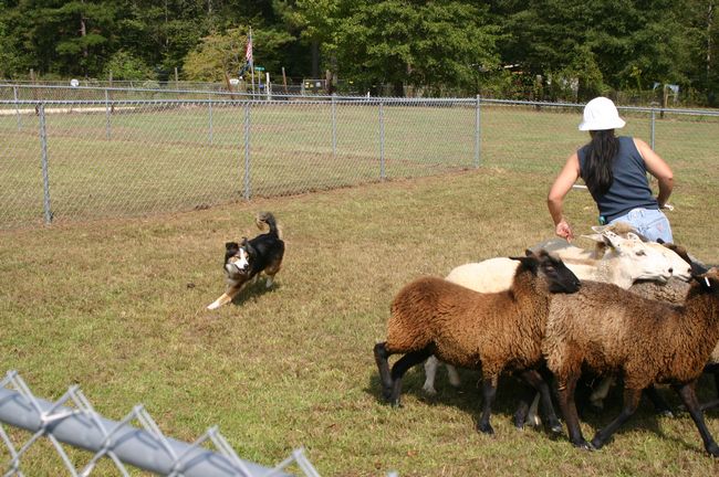 Click to see next picture