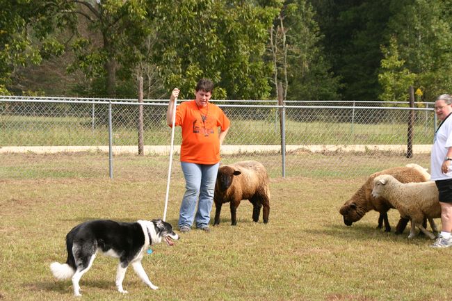 Click to see next picture