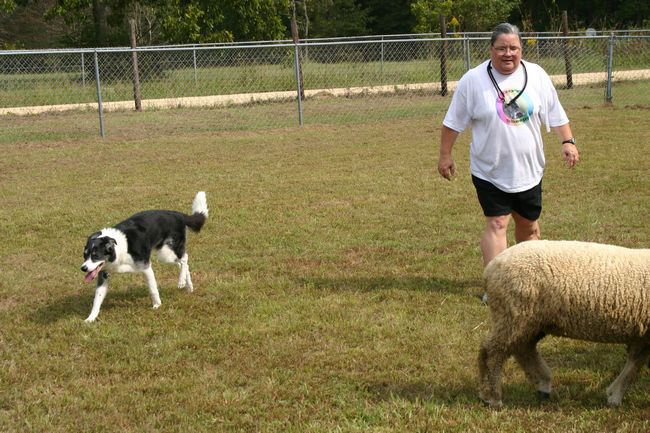 Click to see thumbs page