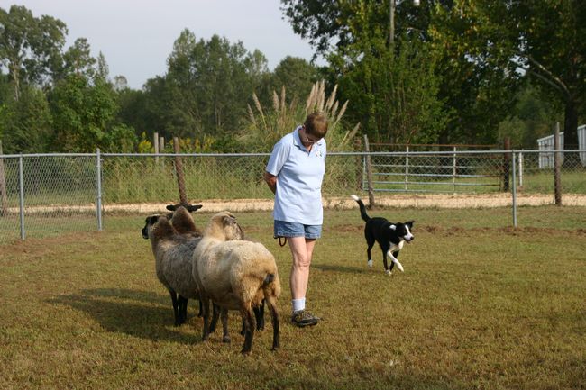 Click to see next picture