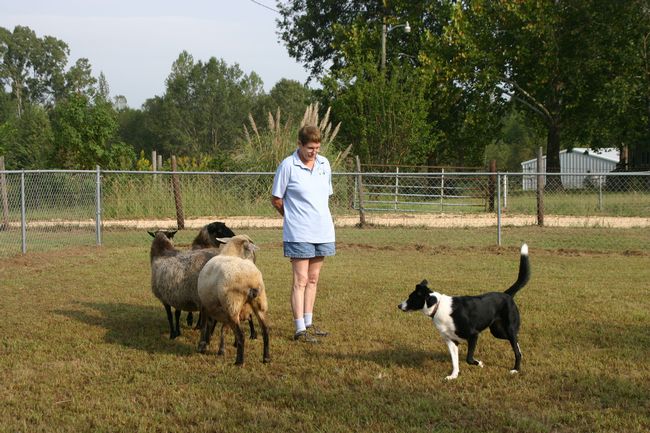 Click to see next picture