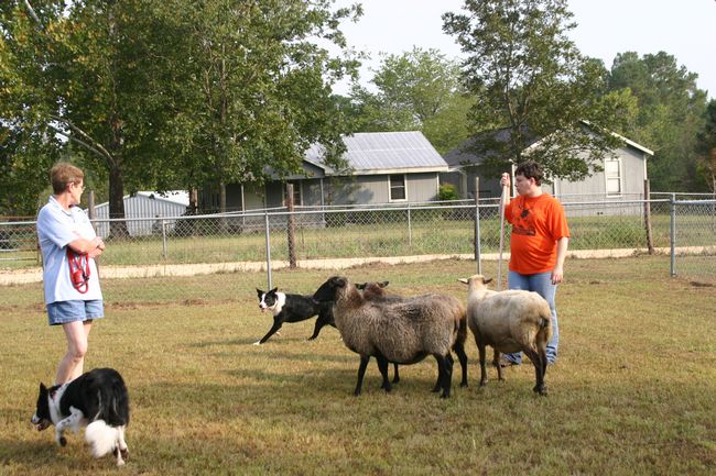 Click to see next picture