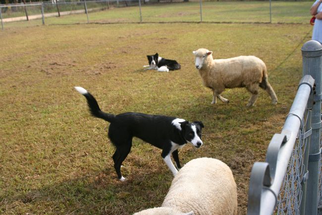 Click to see thumbs page