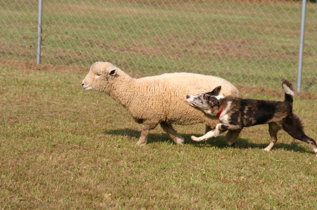 Click to see next picture