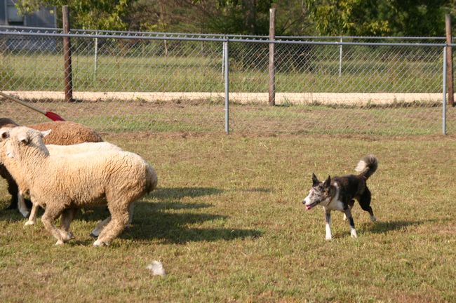 Click to see next picture