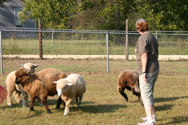 Click to see next picture