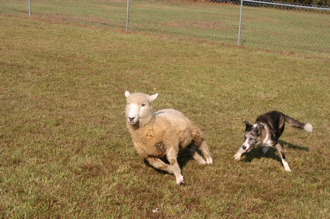 Click to see next picture