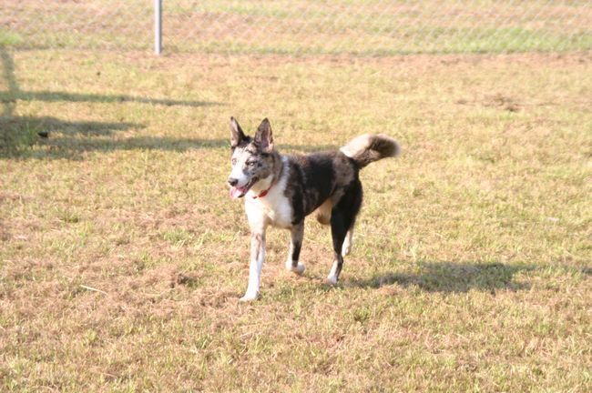 Click to see thumbs page