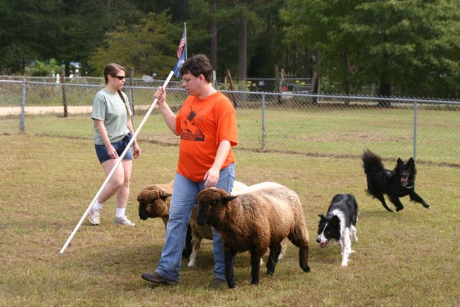 Click to see next picture