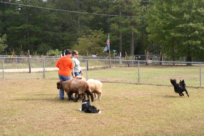 Click to see next picture