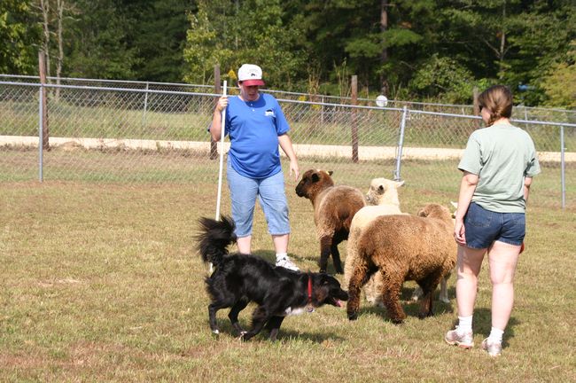 Click to see next picture