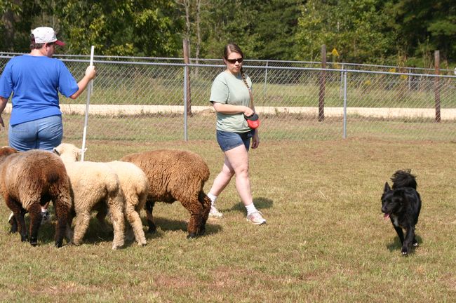 Click to see next picture