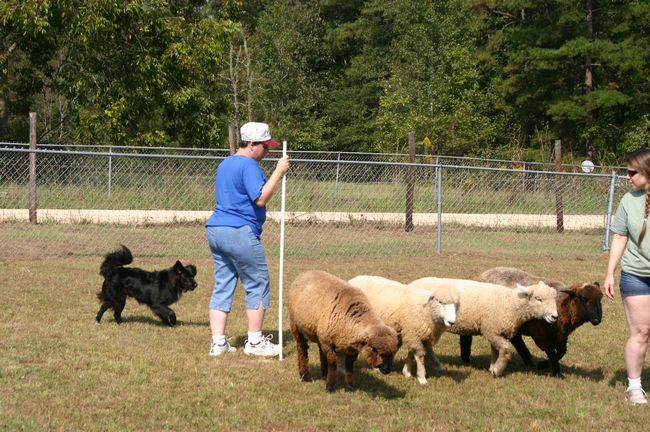 Click to see next picture