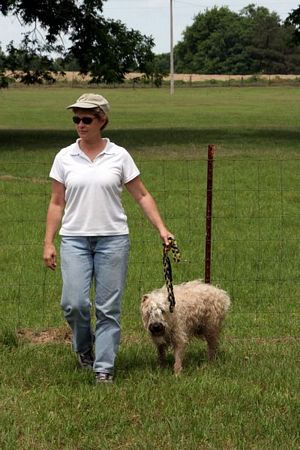 Click to see next picture